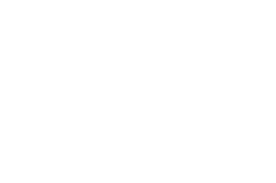 fenix-2